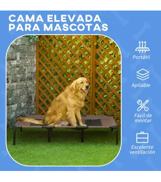 Cama Elevada para Perros