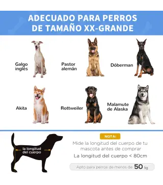 Cama Elevada para Perros