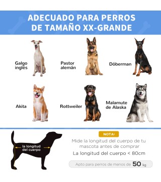 Cama Elevada para Perros