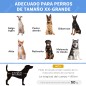 Cama Elevada para Perros Cama Elevada para Perros