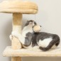 Árbol para Gatos Árbol para Gatos