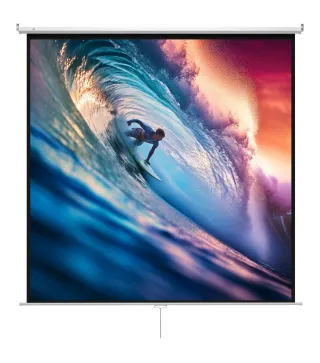 Pantalla de Proyector Manual 120 Pulgadas Pantalla de Proyección Portátil Formato 1:1 para Interior y Exterior Cine en C