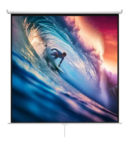 Pantalla de Proyector Manual 120 Pulgadas Pantalla de Proyección Portátil Formato 1:1 para Interior y Exterior Cine en C