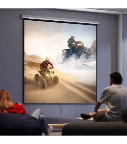 Pantalla de Proyector Manual 120 Pulgadas Pantalla de Proyección Portátil Formato 1:1 para Interior y Exterior Cine en C