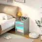 Mesita de Noche con Estación de Carga Luz LED RGB Cajón Estante Abierto Puertos USB y Control Remoto 40x40x58 Cm Gris