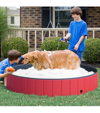 Piscina para Mascotas