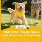 Carrito para Perros Pequeños con Cesta de Almacenaje Portavasos Ruedas y Cojín Lavable 77x44x102 cm Café Carrito para Perros Pequeños con Cesta de Almacenaje Portavasos Ruedas y Cojín Lavable 77x44x102 cm Café