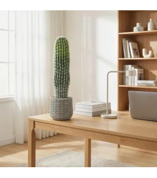 Cactus Artificial 66 cm, Planta Artificial Decorativa con Maceta para Decoración del Interior Verde