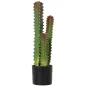 Cactus Artificial 66 cm Planta Artificial Decorativa con Maceta y 3 Hojas para Decoración del Interior Verde
