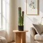 Cactus Artificial 66 cm Planta Artificial Decorativa con Maceta y 3 Hojas para Decoración del Interior Verde