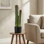 Cactus Artificial 66 cm Planta Artificial Decorativa con Maceta y 3 Hojas para Decoración del Interior Verde