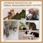 Árbol para Gatos Árbol para Gatos