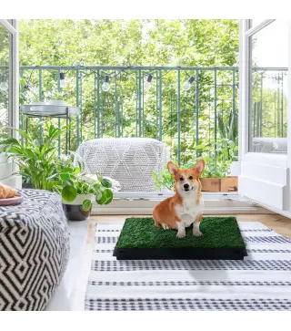 Inodoro para Perros con Césped Artificial y Bandeja Extraíble Orinal para Entrenamiento de Cachorros 51x63x6 cm Verde