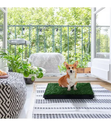 Inodoro para Perros con Césped Artificial y Bandeja Extraíble Orinal para Entrenamiento de Cachorros 51x63x6 cm Verde