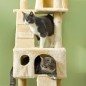 Árbol para Gatos Árbol para Gatos
