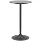 Mesa Alta de Bar Redonda Mesa de Cocina Moderna con Encimera Laminada y Marco de Acero para 2 Personas Ø60x102 cm Negro Mesa Alta de Bar Redonda Mesa de Cocina Moderna con Encimera Laminada y Marco de Acero para 2 Personas Ø60x102 cm Negro