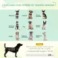 Cama Elevada para Perros Gatos Portátil Cama para Mascotas con Zona de Malla Transpirable y Tela Oxford para Interior Exterior 7