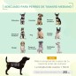 Cama Elevada para Perros Cama Elevada para Perros