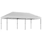 Carpa Plegable 6x3 m Pop-up Altura Ajustable 3 Niveles UPF50+ Bloqueo Central Sacos de Arena Bolsa con Ruedas Plateado