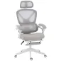 Silla de Escritorio de Malla Reclinable con Reposacabezas Soporte Lumbar Reposapiés y Altura Regulable Gris Claro