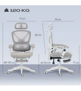 Silla de Escritorio de Malla Reclinable con Reposacabezas Soporte Lumbar Reposapiés y Altura Regulable Gris Claro