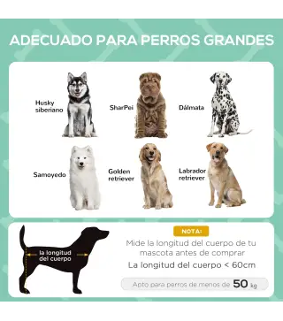 Cama Elevada para Mascotas
