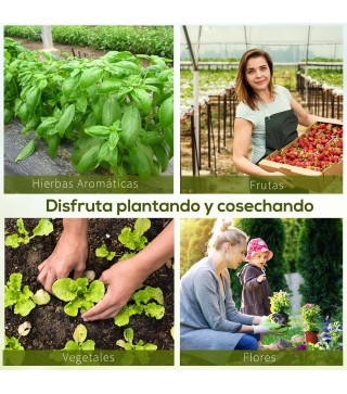 Invernadero de Jardín