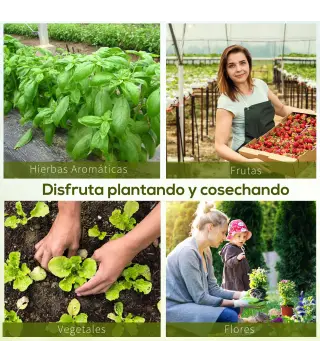 Invernadero de Jardín