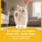 Arenero para Gatos Plegable M con Tapa Enrejada Bandeja Extraíble Pala Gancho Lateral Fácil de Limpiar Antifugas Gris