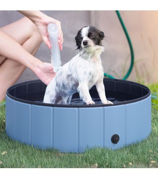 Piscina para Mascotas