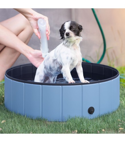 Piscina para Mascotas