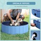 Piscina para Mascotas Piscina para Mascotas