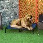 Cama Elevada para Perros