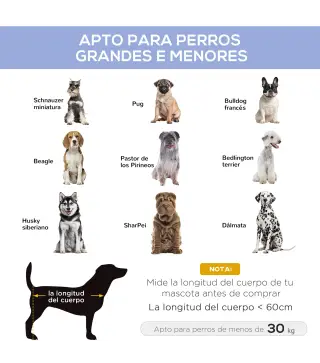 Cama Elevada para Perros