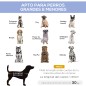 Cama Elevada para Perros