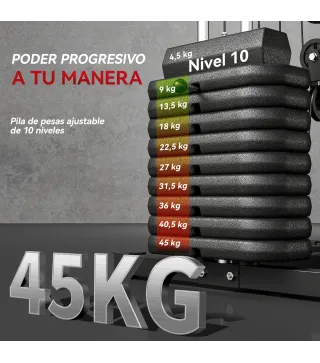 Máquina de Musculación con Pesas Ajustables de 45 kg Prensa de Pecho y Piernas Polea 135x103x210 cm Negro