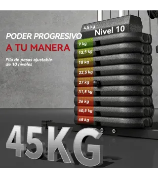 Máquina de Musculación con Pesas Ajustables de 45 kg Prensa de Pecho y Piernas Polea 135x103x200 cm Negro