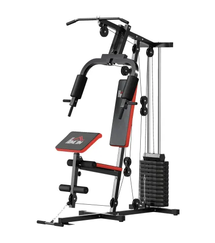 Máquina de Musculación con Pesas Ajustables de 65 kg Prensa de Pecho y Piernas Polea 135x103x210 cm Negro