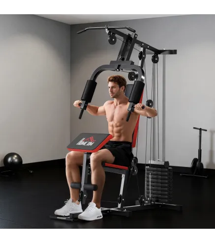 Máquina de Musculación con Pesas Ajustables de 65 kg Prensa de Pecho y Piernas Polea 135x103x210 cm Negro