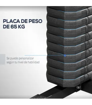 Máquina de Musculación con Pesas Ajustables de 65 kg Prensa de Pecho y Piernas Polea 135x103x210 cm Negro