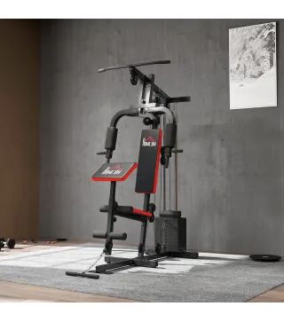 Máquina de Musculación con Pesas Ajustables de 65 kg Prensa de Pecho y Piernas Polea 135x103x210 cm Negro