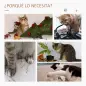 Árbol para gatos Rascador Grande con Plataformas Casetas Bolas de Juego 114cm Cubierto de Felpa Beige