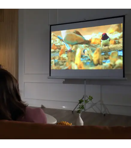 Pantalla de Proyector Manual con Soporte 84 Pulgadas Pantalla de Proyección Portátil Formato 4:3 para Interior y Exterior Cine e