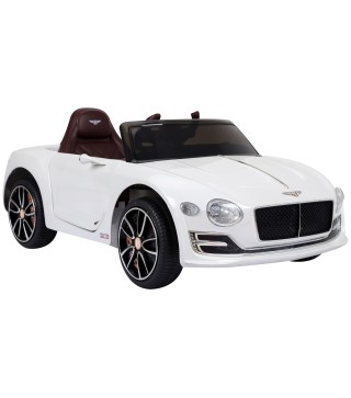 Coche Eléctrico