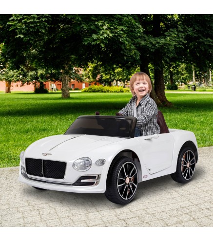 Coche Eléctrico
