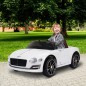 Coche Eléctrico Coche Eléctrico