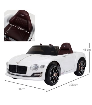 Coche Eléctrico