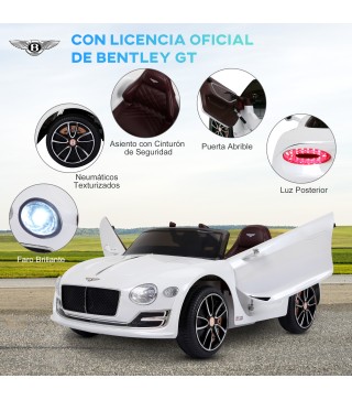 Coche Eléctrico
