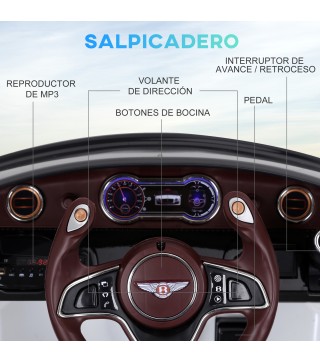 Coche Eléctrico