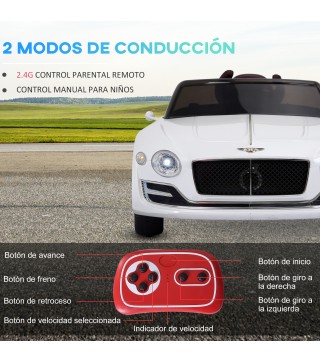 Coche Eléctrico